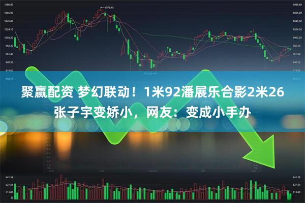 聚赢配资 梦幻联动！1米92潘展乐合影2米26张子宇变娇小，网友：变成小手办